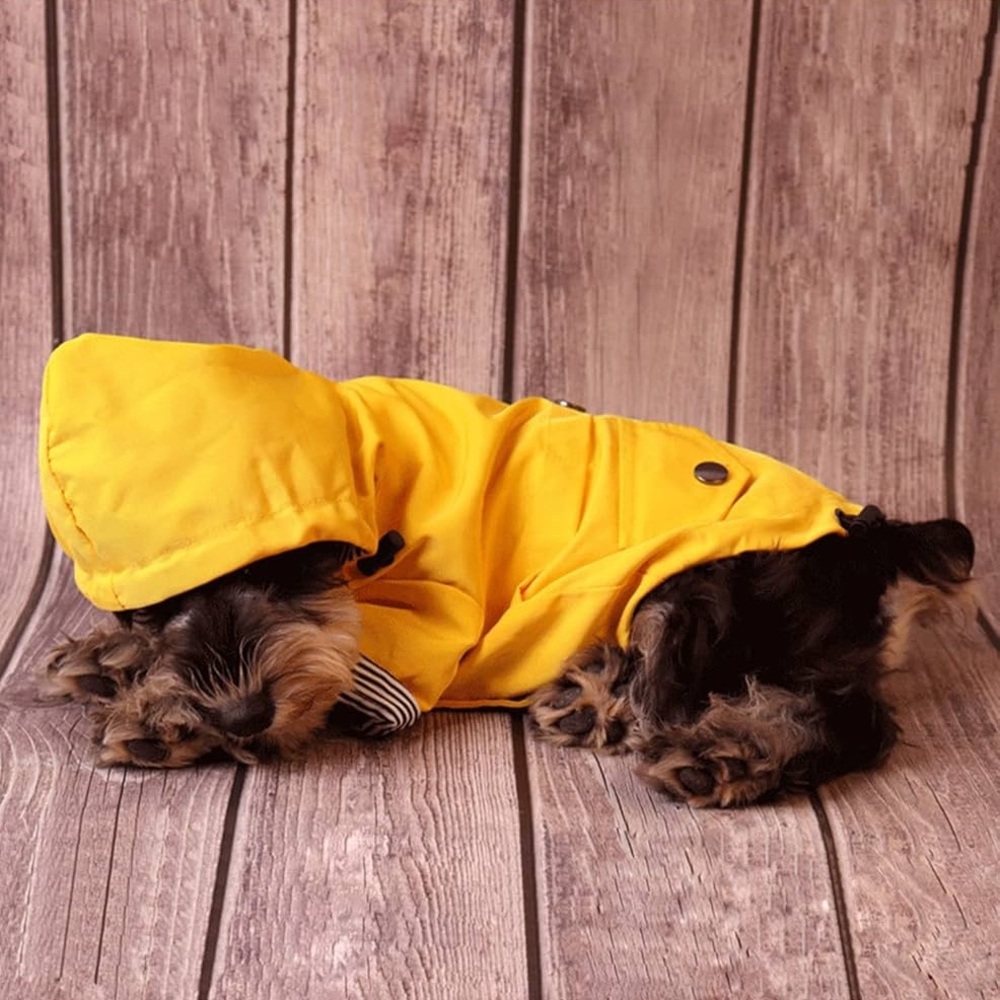 Raincoat for Pets